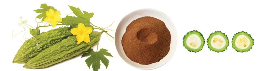 Bitter Melon Extract Powder Bitter Melon Extract Powder