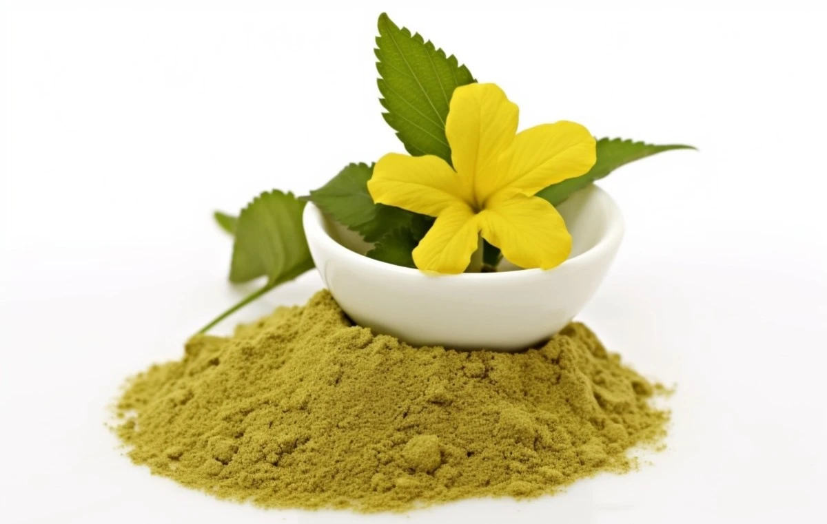 Damiana powder Damiana powder